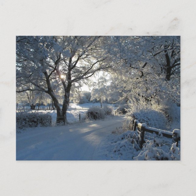 Winterniederschlag Postkarte (Vorderseite)