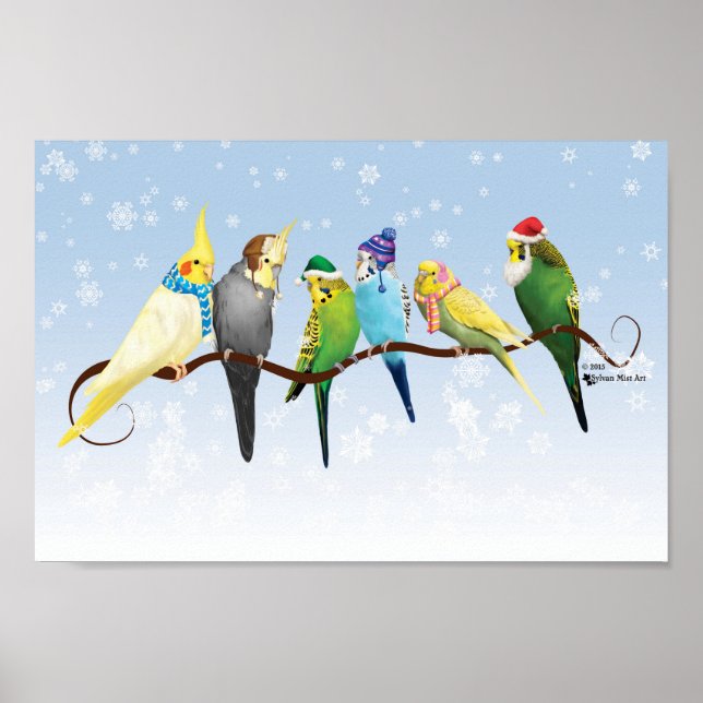 Winterparakets und Cockatiels Poster (Vorne)