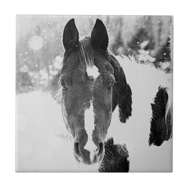 Winterpferd B&W Keramik Tile Fliese (Vorderseite)