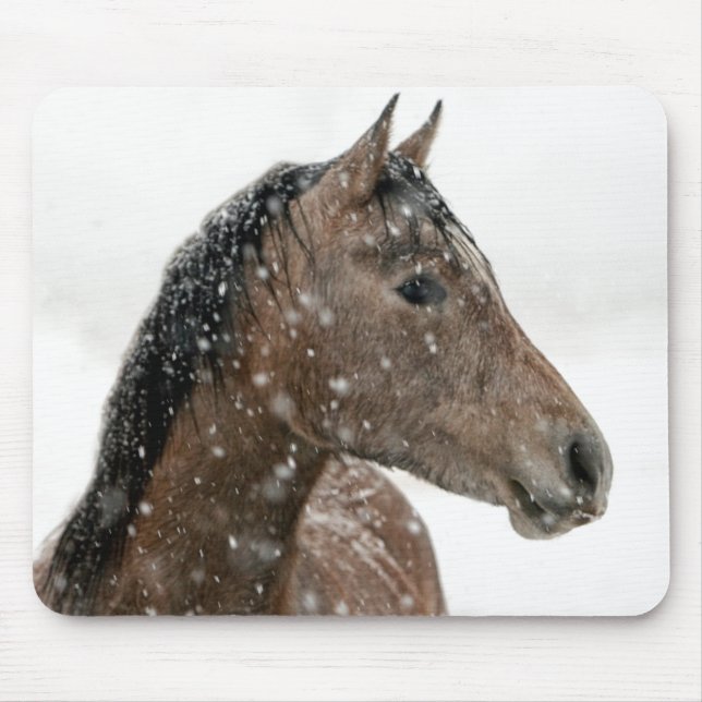 Winterpferd Mousepad (Vorne)