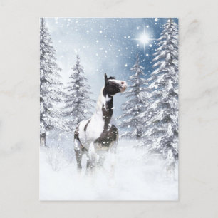 Winterpferd Postkarte