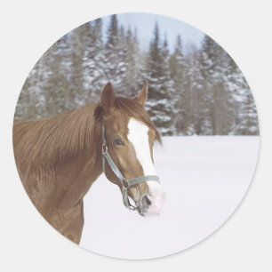 Winterpferd Runder Aufkleber