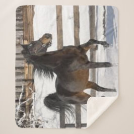 Winterpferd Sherpadecke