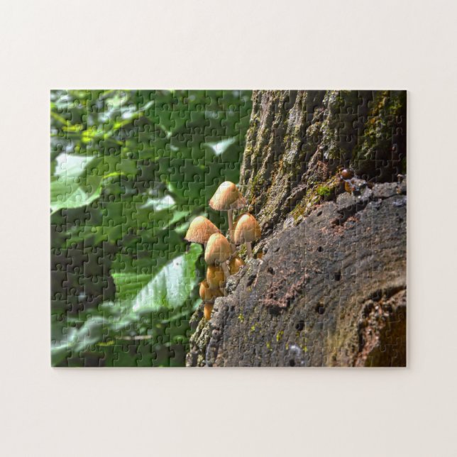 Winterpilze Kanada. Puzzle (Horizontal)