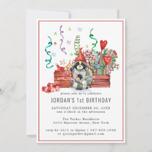 Winterraccoons   Waldland - Party Einladung