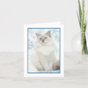 Winterragdoll notecard feiertagskarte