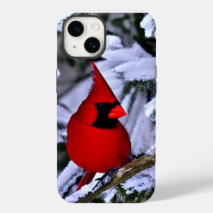 Winterroter Kardinal Case-Mate iPhone 14 Hülle