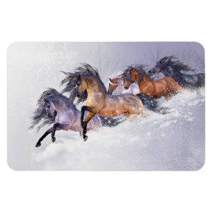 Winter's Flight Premium Flexi Magnet