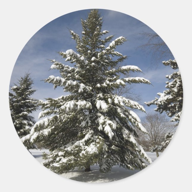 Winters kommen runder aufkleber (Vorderseite)