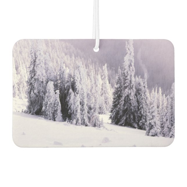 Wintersaisonfrischer Autolufterfrischer (Vorderseite)