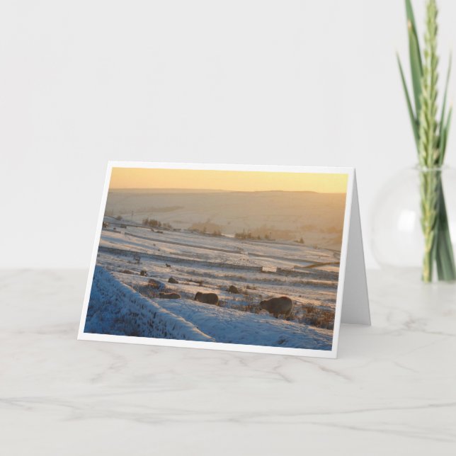 Winterschaf-Weihnachtskarte Karte (Vorderseite)