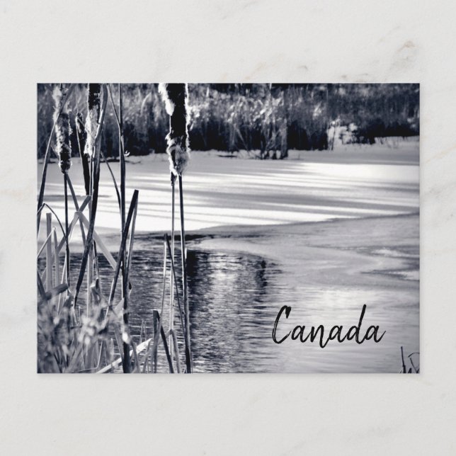 Winterschatten Schwarz-weiß Kanada Souvenir Postkarte (Vorderseite)