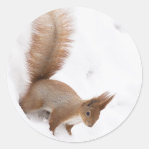 Winterscheißel Runder Aufkleber