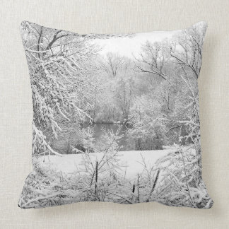Winterschnee am Huron River Kissen