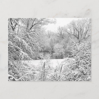 Winterschnee am Huron River Postkarte