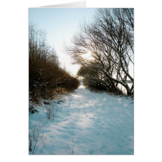 Winterschnee bedeckt Englisch Landschaftspfad