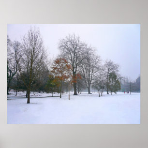 Winterschnee, Bute Park, Cardiff, Wales Poster