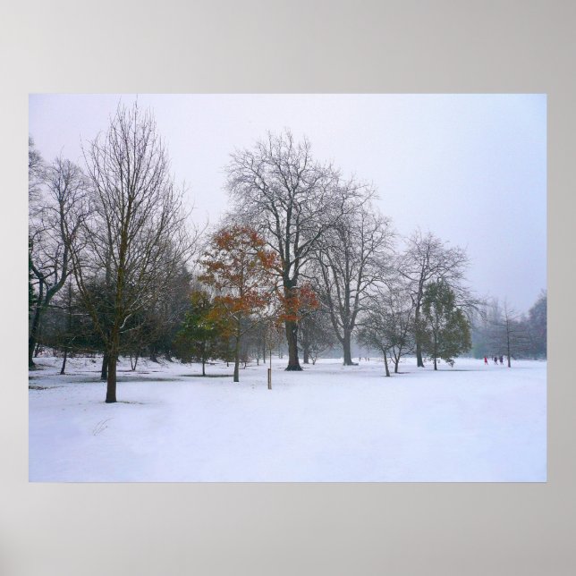 Winterschnee, Bute Park, Cardiff, Wales Poster (Vorne)