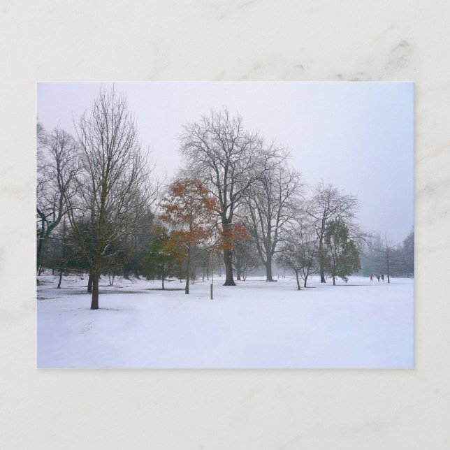 Winterschnee, Bute Park, Cardiff, Wales Postkarte (Vorderseite)