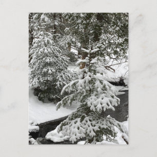 Winterschnee-Hütte Fieber Bachwald Außenwelt Wande Feiertagspostkarte