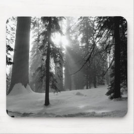 Winterschnee im Kings Canyon Nationalpark Mousepad