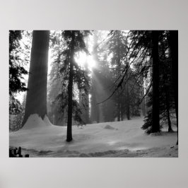 Winterschnee im Kings Canyon Nationalpark Poster