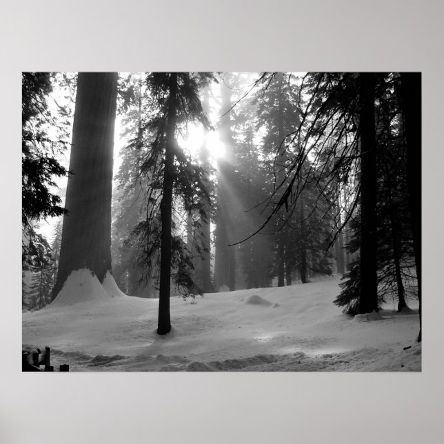 Winterschnee im Kings Canyon Nationalpark Poster (Vorne)
