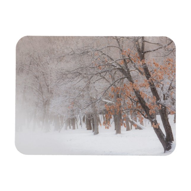 Winterschnee | Kussharo-See Magnet (Horizontal)