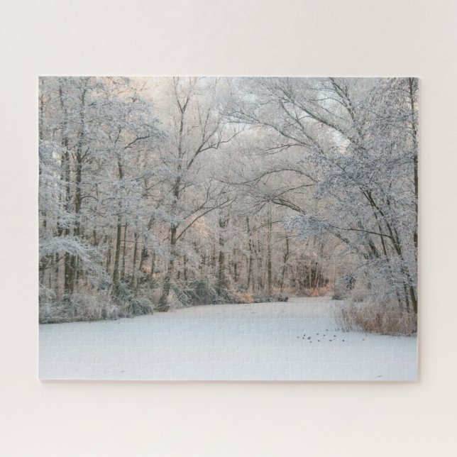 Winterschnee Landschaft, 520 Stücke Jigsaw Puzzle (Horizontal)