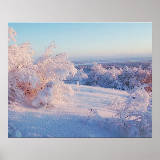 Winterschnee Landschaft Foto Naturwall Poster (Vorne)
