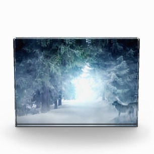 Winterschnee mit Wölfen im Evergreen Forest Fotoblock