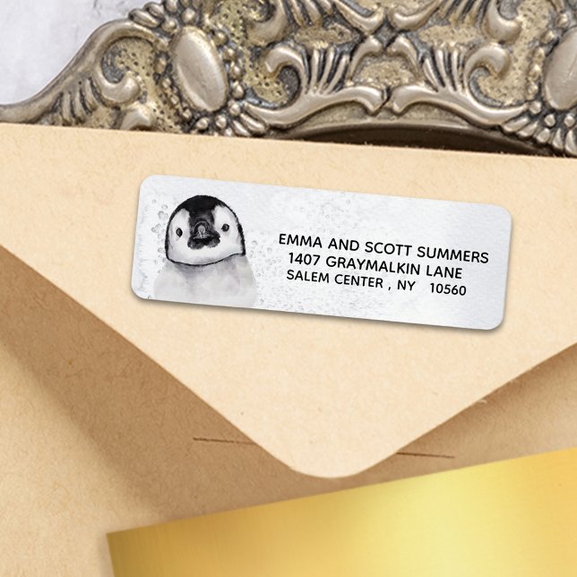 Winterschnee Niedlicher Pinguin (Von Creator hochgeladen)