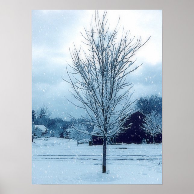 Winterschnee Poster (Vorne)