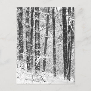 Winterschnee Postkarte