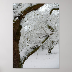 Winterschnee-Szenenposter drucken Poster