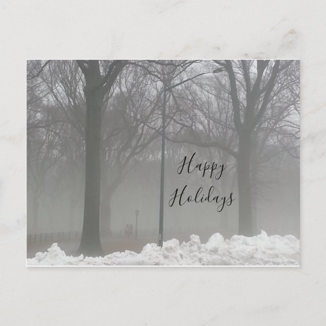 Winterschnee und Nebel im Central Park Postkarte (Vorderseite)