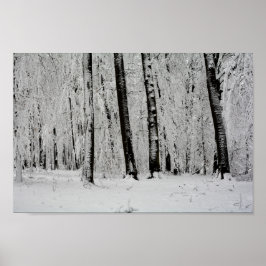 Winterschneebaume - - poster