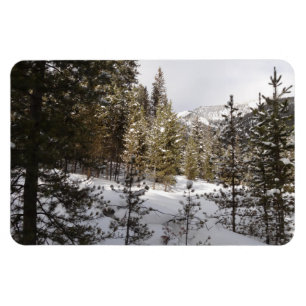 Winterschneebergszene in Montana Magnet