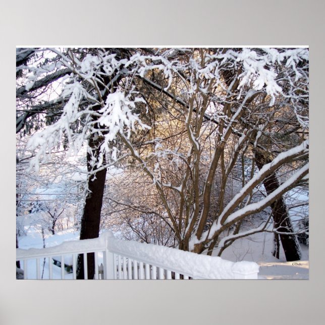 Winterschneeblick von der Vorderseite Poster (Vorne)