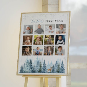 Winterschneeflocke - Meilenstein im Foto Poster