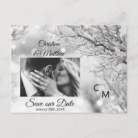 Winterschneeflocken Hochzeit RETTE UNSER DATUM | F