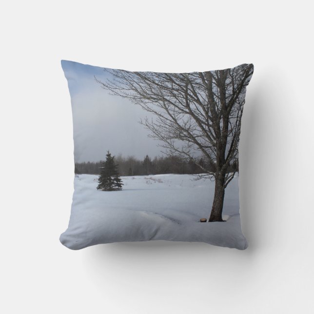 Winterschneegebiet coole Wunderlandschaft Kissen (Vorderseite)