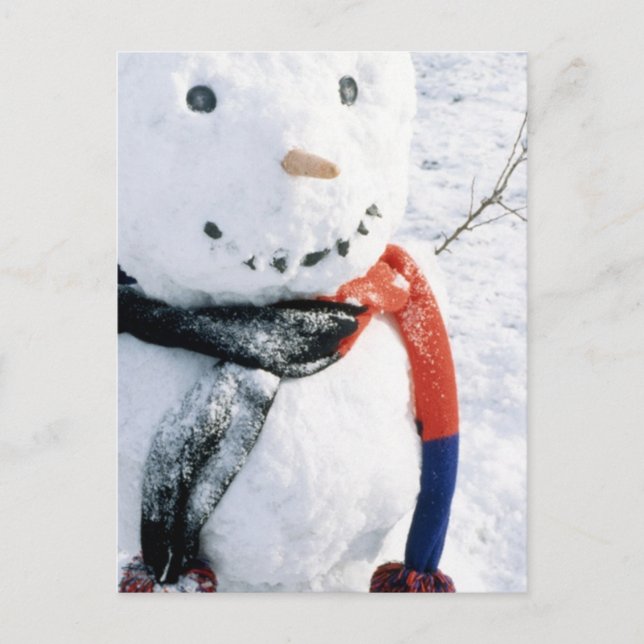 Winterschneekarten und Aufkleber Postkarte (Vorderseite)