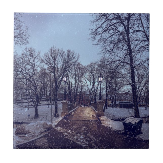 Winterschneepark im Abend Fliese (Vorderseite)
