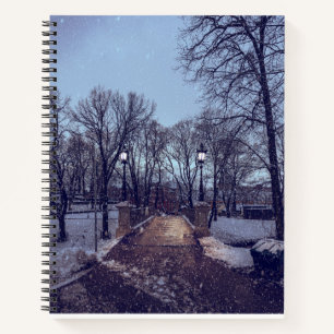 Winterschneepark im Abend Notizbuch