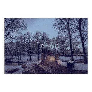 Winterschneepark im Abend Poster