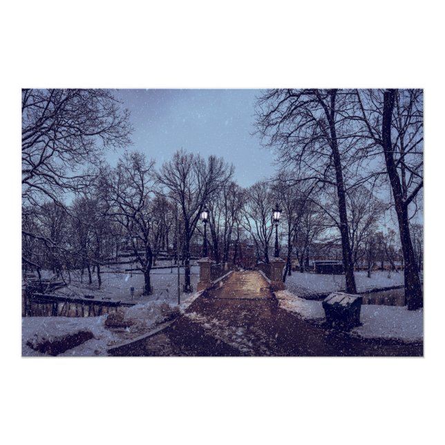 Winterschneepark im Abend Poster (Vorderseite)