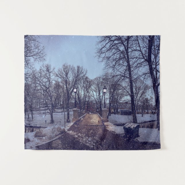 Winterschneepark im Abend Wandteppich (Vorderseite (Horizontal))