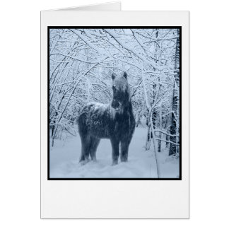 Winterschneepferd