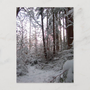 WINTERSCHNEESZENE VON SHARON SHARPE POSTKARTE